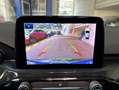 Ford Kuga 2.0 EcoBlue Aut. ST-LINE X Grau - thumbnail 15