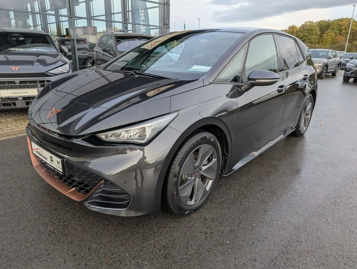 CUPRA Born *Pilot M*CargoPack*WinterPaket* Grau - 2