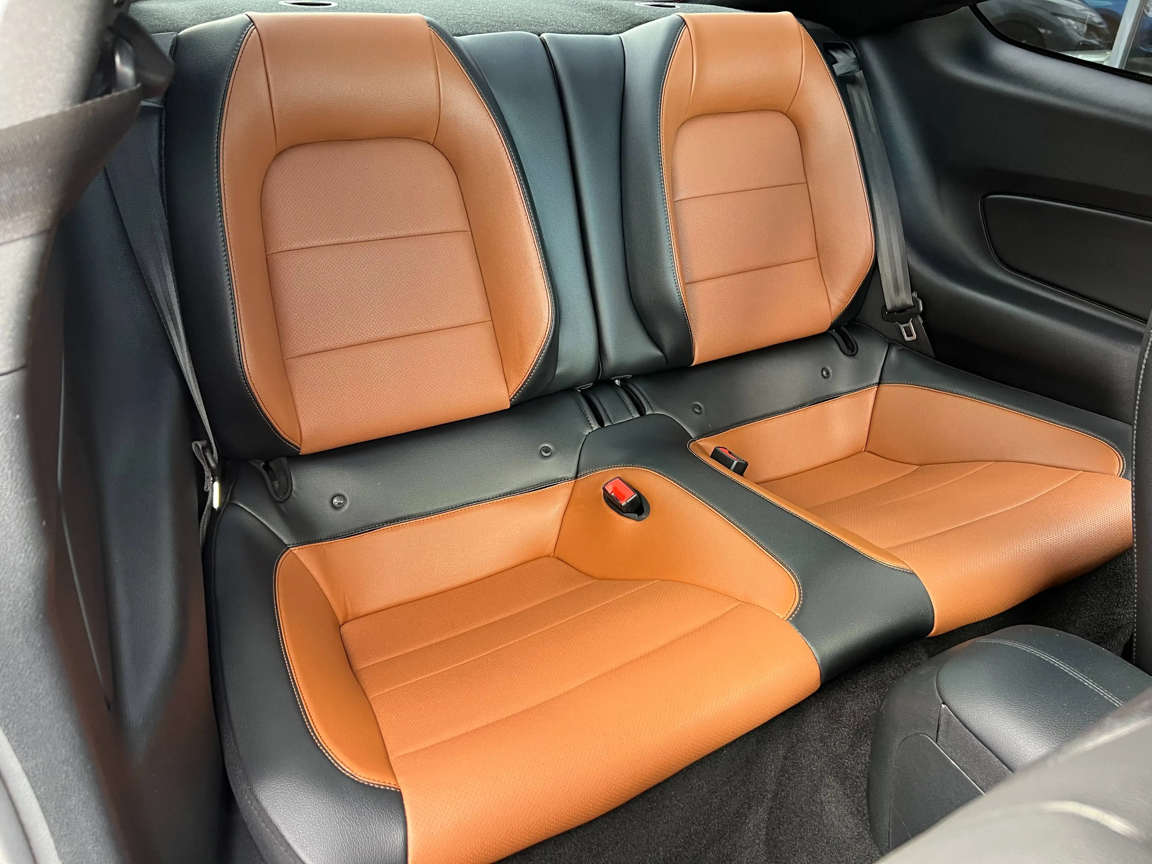 Ford Mustang 2.3EcoBoost Manual FIFTY FIVE  Exhaust Cockpit 1er Proprietaire Full Option — photo 15