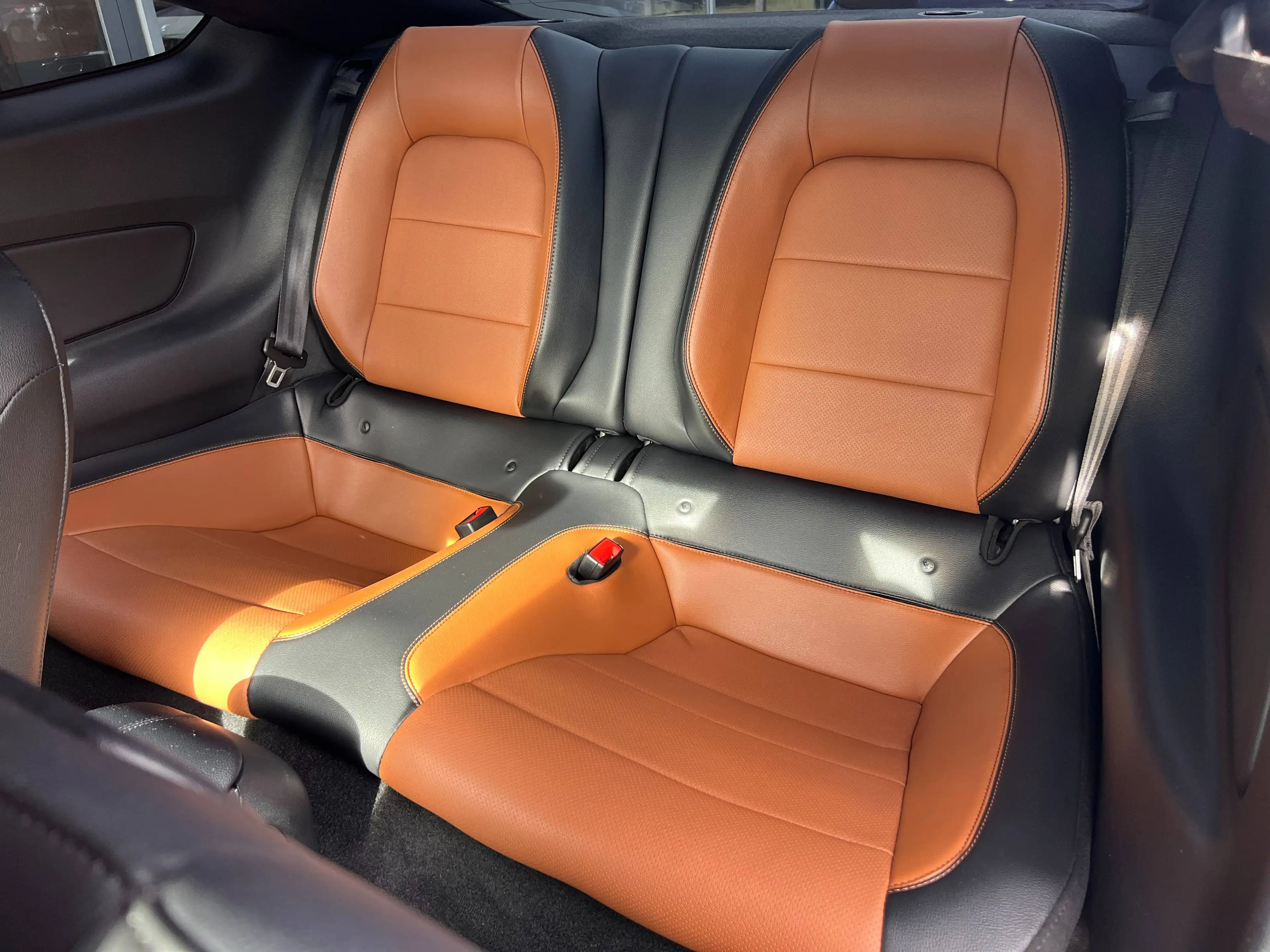 Ford Mustang 2.3EcoBoost Manual FIFTY FIVE  Exhaust Cockpit 1er Proprietaire Full Option — photo 14
