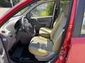 Fiat Panda 1,2 Dynamic Rot - thumbnail 10