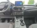 Ford Kuga ST-Line PHEV ACC+TWA+RFK+WinterPkt.+ El.Heckkl. uv Gris - thumbnail 10