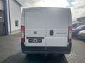 Fiat Ducato 100 2.2 Diesel,AHK Weiß - thumbnail 15