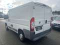 Fiat Ducato 100 2.2 Diesel,AHK Weiß - thumbnail 4