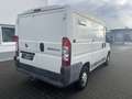 Fiat Ducato 100 2.2 Diesel,AHK Weiß - thumbnail 3