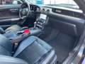 Ford Mustang 5.0 Ti-VCT V8 GT Auto*Kam*Navi*LPG Gris - thumbnail 9