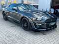 Ford Mustang 5.0 Ti-VCT V8 GT Auto*Kam*Navi*LPG Gris - thumbnail 1