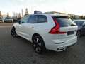 Volvo XC60 Plus T6 AWD Plug-in Hybrid/Pano/AHK/H&K/BLS Weiß - thumbnail 5