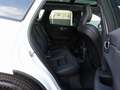 Volvo XC60 Plus T6 AWD Plug-in Hybrid/Pano/AHK/H&K/BLS Weiß - thumbnail 11