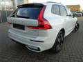 Volvo XC60 Plus T6 AWD Plug-in Hybrid/Pano/AHK/H&K/BLS Weiß - thumbnail 2