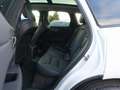 Volvo XC60 Plus T6 AWD Plug-in Hybrid/Pano/AHK/H&K/BLS Weiß - thumbnail 9