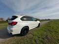 BMW X5 X5+High+Exec. Wit - thumbnail 8