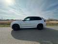 BMW X5 X5+High+Exec. Wit - thumbnail 6