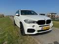 BMW X5 X5+High+Exec. Wit - thumbnail 2