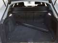Audi A4 Avant 35 TFSI S tronic S line LED AHK Navi Virt... Weiß - thumbnail 12