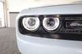 Dodge Challenger 3.6GT AWD/PerfPages/Alpine/Kamera/R20 Gris - thumbnail 6