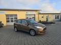 Ford B-Max B-MAX Titanium*Bluetooth*PDC*Sitzheizung Braun - thumbnail 1