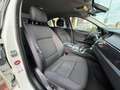 BMW 525 525d Eletta Blanco - thumbnail 14