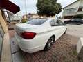 BMW 525 525d Eletta Blanco - thumbnail 6