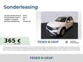 Volkswagen Tiguan Elegance 2.0 TDI DSG Navi Pano Kamera LED SiHz Weiß - thumbnail 1