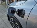 Kia Ceed SW / cee'd SW Sportswagon 1.6 GDI PHEV DynamicLine | Dealerond. Gris - thumbnail 3