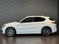 Alfa Romeo Stelvio 2.2 Turbodiesel 210 CV AT8 Q4 Veloce Bianco - thumbnail 5