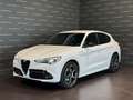 Alfa Romeo Stelvio 2.2 Turbodiesel 210 CV AT8 Q4 Veloce Bianco - thumbnail 1