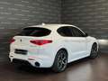 Alfa Romeo Stelvio 2.2 Turbodiesel 210 CV AT8 Q4 Veloce Bianco - thumbnail 3