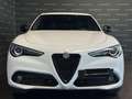 Alfa Romeo Stelvio 2.2 Turbodiesel 210 CV AT8 Q4 Veloce Bianco - thumbnail 2