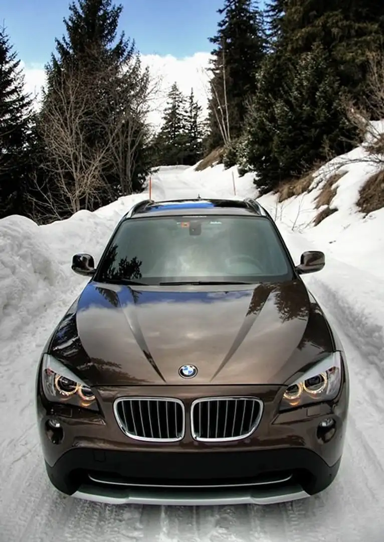 BMW X1 X1 sDrive20d EfficientDynamics Edition brončana - 2