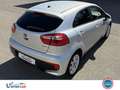 Kia Rio 1.4 CRDi 90 CV Origins caméra de recule Gris - thumbnail 13