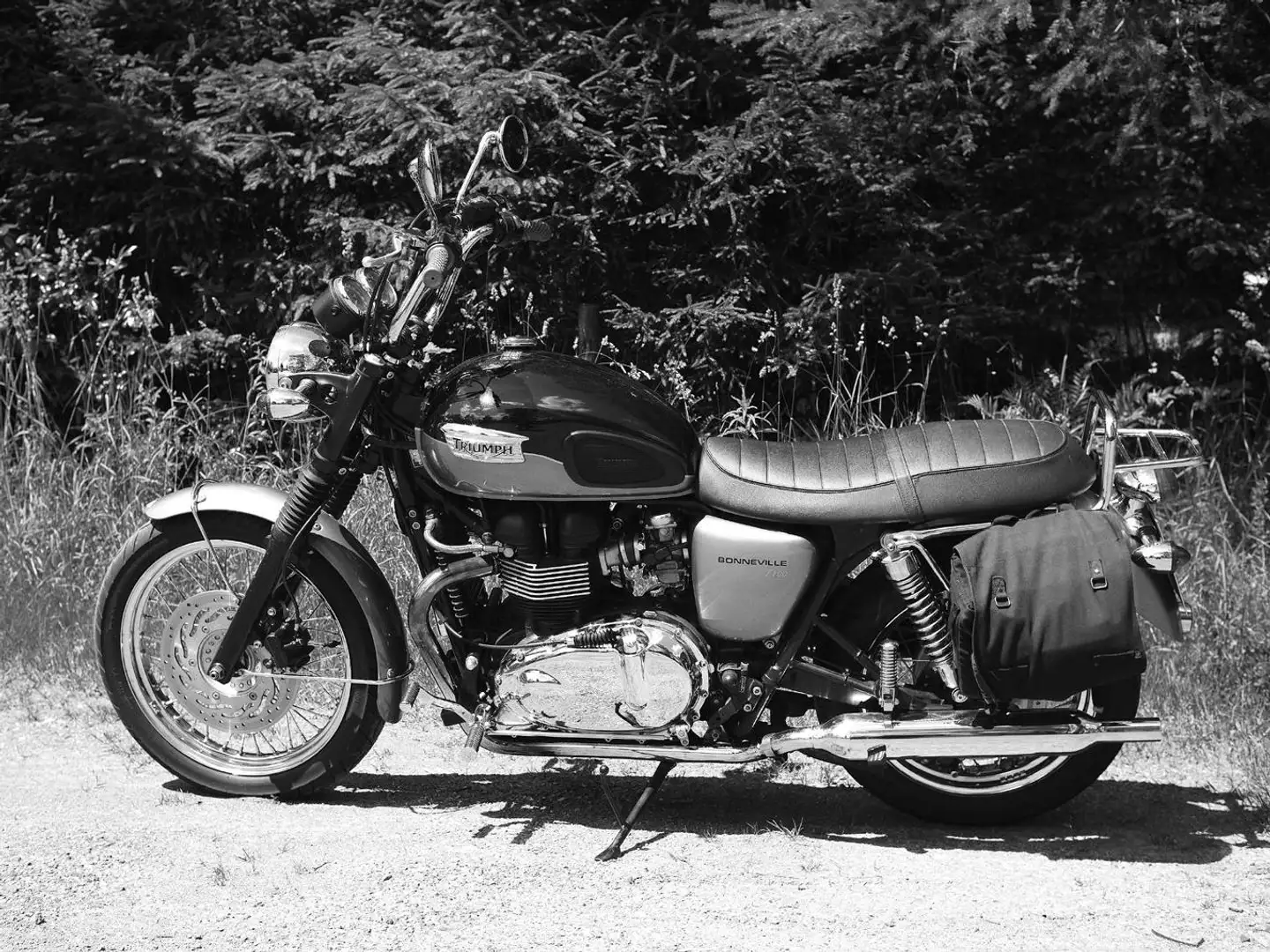 Triumph Bonneville T100 Szürke - 2