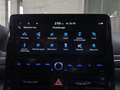 Hyundai IONIQ Elektro 38kWh Level 5  Aut. Grau - thumbnail 33