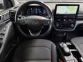Hyundai IONIQ Elektro 38kWh Level 5  Aut. Grau - thumbnail 18