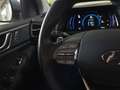 Hyundai IONIQ Elektro 38kWh Level 5  Aut. Grau - thumbnail 19