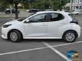 Toyota Yaris 1.0 5 porte Active PROMMO Bianco - thumbnail 5