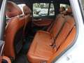 BMW X3 M 40d 48V   AHK,Pano,Head Up,Leder,RFK,Navi uvm.... Grau - thumbnail 37