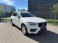 Volvo XC90 Momentum AWD  7 Sitzer Austauschmotor Weiß - thumbnail 3