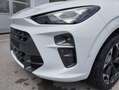 CUPRA Terramar 1.5 e-TSI 150 PS DSG Weiß - thumbnail 8