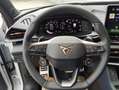 CUPRA Terramar 1.5 e-TSI 150 PS DSG Weiß - thumbnail 13