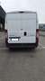Peugeot Boxer Bianco - thumbnail 4