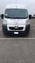Peugeot Boxer Bianco - thumbnail 2