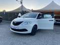 Lancia Ypsilon 1.2 69 CV 5 porte S&S Elefantino Blu Blanco - thumbnail 1
