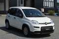 Fiat Panda 1.0 firefly hybrid Blanc - thumbnail 2