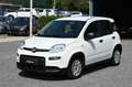 Fiat Panda 1.0 firefly hybrid Blanc - thumbnail 1