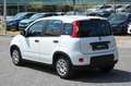 Fiat Panda 1.0 firefly hybrid Blanc - thumbnail 4