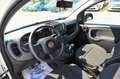Fiat Panda 1.0 firefly hybrid Blanc - thumbnail 8