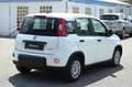 Fiat Panda 1.0 firefly hybrid Blanc - thumbnail 3