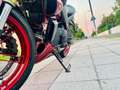 Buell XB 12 Buell XB12S Lightning Cherry Bomb [Harley Company] Rojo - thumbnail 14