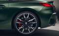 BMW Z4 M Sonder Matt + Schalter scharf – 1 von 170 in D Verde - thumbnail 16